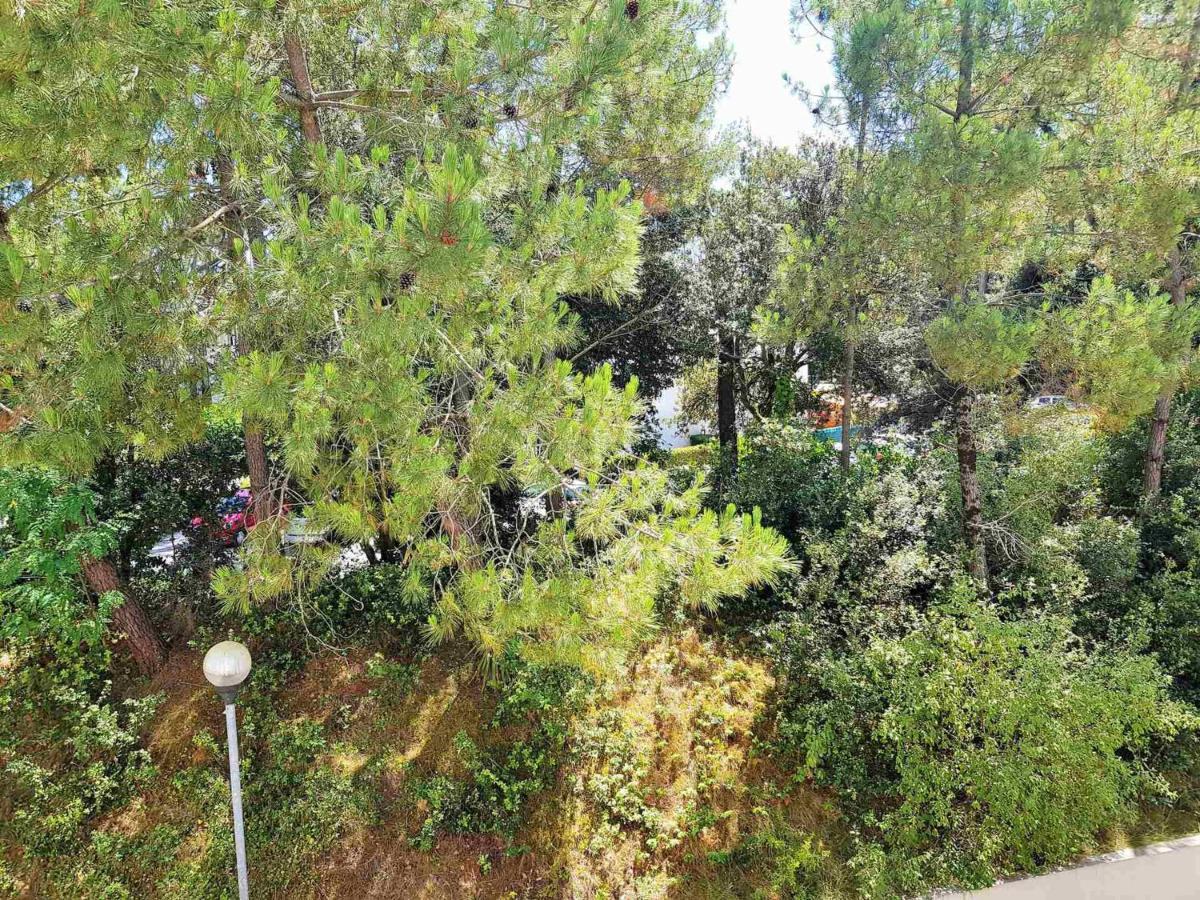 Appartement 2 Pieces A 300M De La Plage Avec Balcon Ensoleille A Saint-Georges-De-Didonne - Fr-1-550-48 Luaran gambar